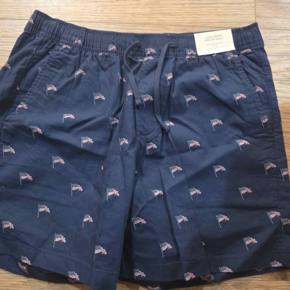 Hollister Navy Flag Print Shorts